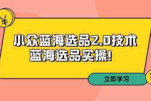 （9189期）拼多多培训第33期：小众蓝海选品2.0技术-蓝海选品实操！