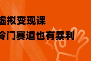 （8219期）虚拟变现课，冷门赛道也有暴利，手把手教你玩转冷门私域
