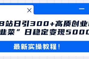 （8216期）最新B站日引300+高质创业粉教程！“割韭菜”日稳定变现5000+！