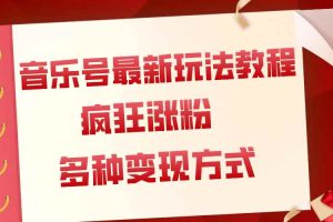 （7847期）音乐号最新玩法教程，疯狂涨粉，多种拓展变现方式（附保姆级教程+素材）