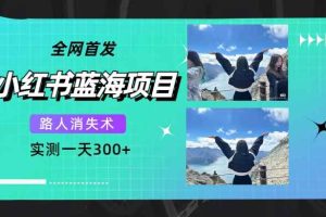 （7537期）全网首发，小红书蓝海项目，路人消失术，实测一天300+（教程+工具）