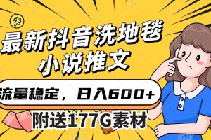 （7416期）最新抖音洗地毯小说推文，流量稳定，一天收入600（附177G素材）
