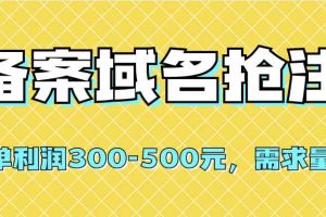（7277期）【全网首发】备案域名抢注，一单利润300-500元，需求量大