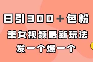 （7273期）日引300＋色粉，美女视频最新玩法，发一个爆一个