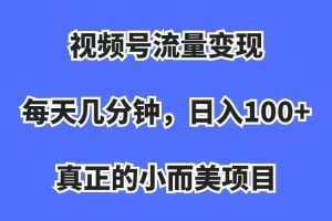 （7212期）视频号流量变现，每天几分钟，收入100+，真正的小而美项目