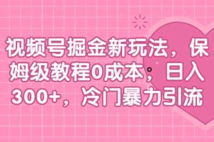 （6802期）视频号掘金新玩法，保姆级教程0成本，日入300+，冷门暴力引流