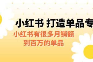 （6541期）某公众号付费文章《小红书 打造单品专家》小红书有很多月销额到百万的单品