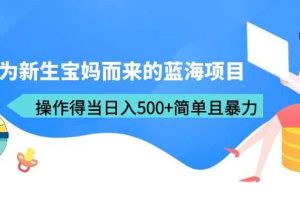 （6382期）专为新生宝妈而来的蓝海项目，操作得当日入500+简单且暴力（教程+工具）