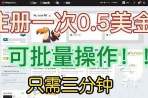 （6285期）国外项目注册一次0.5美金 只需三分钟无脑操作 可批量放大 小白工作室福利