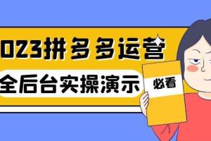 （6152期）2023拼多多·运营：14节干货实战课，拒绝-口嗨，全后台实操演示