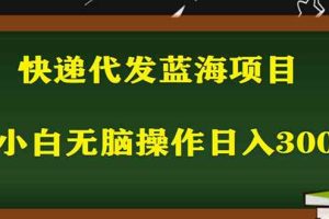 （5573期）2023最新蓝海快递代发项目，小白零成本照抄也能日入300+（附开户渠道）