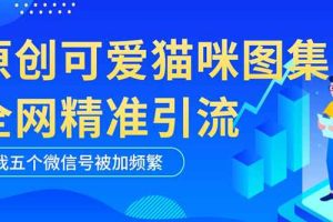 （5498期）黑科技纯原创可爱猫咪图片，全网精准引流，实操5个VX号被加频繁