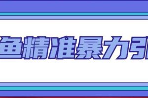 （4941期）闲鱼精准暴力引流全系列课程，每天被动精准引流200+客源技术（8节视频课）