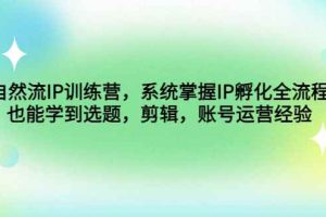 （4688期）自然流IP训练营，系统掌握IP孵化全流程，也能学到选题，剪辑，账号运营经验