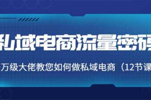（3977期）私域电商流量密码：千万级大佬教您如何做私域电商（12节课）