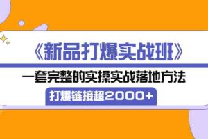 （3704期）《新品打爆实战班》一套完整的实操实战落地方法，打爆链接超2000+（38节课)