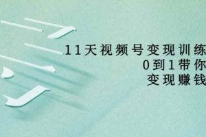 （3595期）11天视频号变现训练营，从0到1打造变现赚钱系统