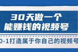 （3429期）30天做一个能赚钱的视频号，从0-1打造属于你自己的视频号 (14节)