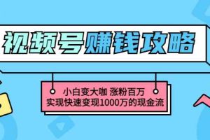 （3020期）玩转微信视频号赚钱：小白变大咖 涨粉百万 实现快速变现1000万的现金流