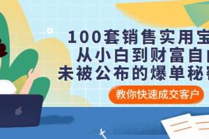 （3004期）100套销售实用宝典：从小白到财富自由，未被公布的爆单秘密！