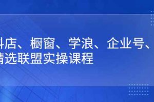 （2640期）抖店、橱窗、学浪、企业号、精选联盟实操课程