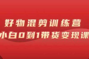 （2598期）万三好物混剪训练营：小白0到1带货变现课