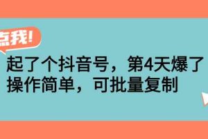 （2538期）起了个抖音号，第4天爆了！操作简单，可批量复制