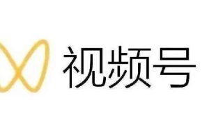 （2169期）最新视频号解读，视频号真相+变现玩法【视频课程】