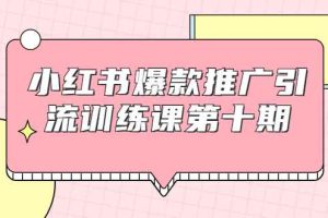 （1693期）小红书爆款推广引流训练课第十期，手把手带你玩转小红书，轻松月入过万