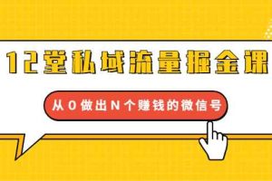 （1659期）12堂私域流量掘金课：打通私域４大关卡，从０做出Ｎ个赚钱的微信号