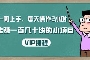 （1423期）一周上手，每天操作2小时赚一百几十块的小项目，简单易懂（4节课）