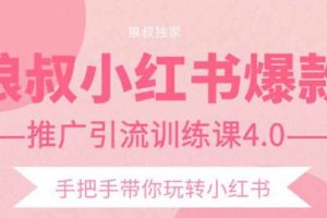 （1407期）小红书爆款推广引流训练课4.0，手把手带你玩转小红书（全套课程）
