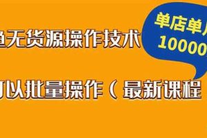 （1047期）闲鱼无货源操作技术，单店单月上10000元可以批量操作（最新课程）