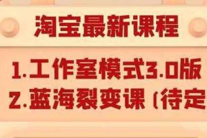 （1046期）淘宝无货源店群项目最新教程，轻松月入过万元（附全套软件）