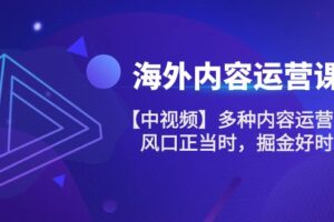 （10833期）海外内容 运营课【中视频】多种内容运营玩法 风口正当时 掘金好时机-101节