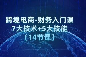 (12047期)跨境电商-财务入门课:7大技术+5大技能(14节课)