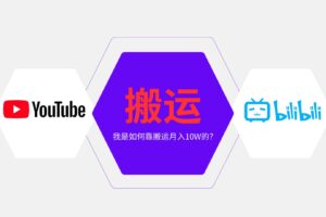 （13795期）纯搬运引流日进300粉，月入10w级教程