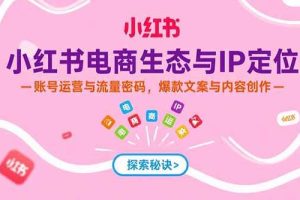 (15350期)小红书电商生态与IP定位,账号运营与流量密码,爆款文案与内容创作