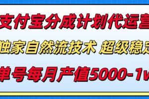 (15592期)支付宝分成计划代运营,最新自然流技术,收益稳定,单号月产5000+!