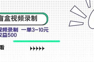 (15667期)盲盒视频录制项目 简单录制视频 一单3-10元 单号收益500