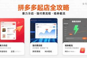 (15670期)拼多多起店全攻略,暴力冷启,强付费流程,暗券截流,5-7月已验证的方法