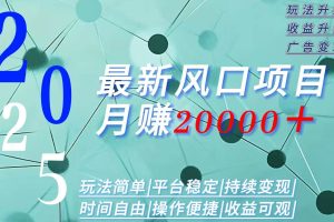 (15694期)2025广告赛道新风口-月赚2W+玩法简单,时间自由