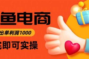 (15760期)闲鱼高利润电商,入门到出单只需3小时,每天利润1000