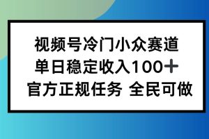 (16234期)视频号小众赛道,单日稳定收入100+,适合所有人